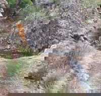 Mill-bullah Walking Track - Tourism Noosa