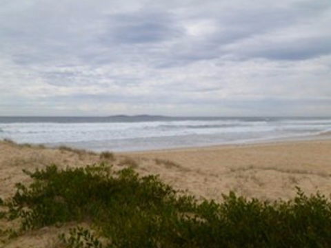 Narooma Surf Beach - Tourism Noosa 0