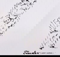 Nickname Hall of Fame - Tourism Noosa