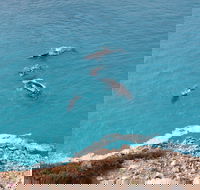 Nullarbor National Park - Tourism Noosa