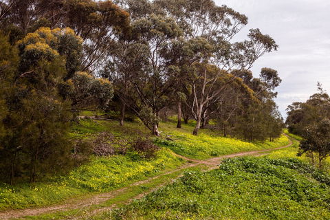 O'Halloran Hill Recreation Park - Tourism Noosa 1