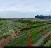 Razorback Cawdor Camden Park - Tourism Noosa