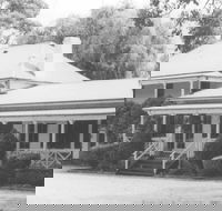 Razorback - Tourism Noosa