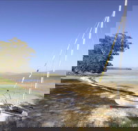 Sailing Club picnic area - Tourism Noosa