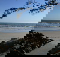 Shark Bay - Tourism Noosa