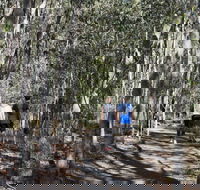 Six Mile Creek Bluff Lookout and Little White Rock Trails - Tourism Noosa