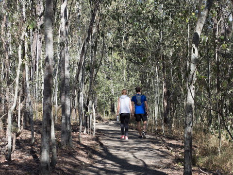 Six Mile Creek, Bluff Lookout And Little White Rock Trails - Tourism Noosa 0