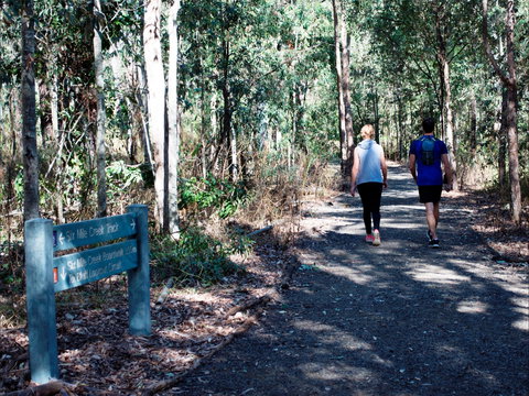 Six Mile Creek, Bluff Lookout And Little White Rock Trails - Tourism Noosa 2