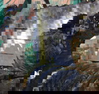 Skirmish Sunshine Coast Outdoor Paintball - Tourism Noosa