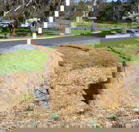 Stratford Historical Society and Museum - Tourism Noosa