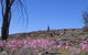Talgomine Reserve - thumb 0
