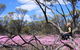 Talgomine Reserve - thumb 1