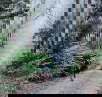 The Corn Trail Walking Track - Tourism Noosa