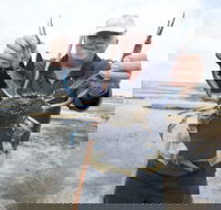 Tiddy Widdy Beach - Tourism Noosa