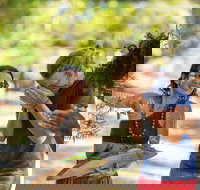 Tjapukai Aboriginal Cultural Park - Tourism Noosa