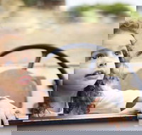 Toddler Thursdays at Werribee Open Range Zoo - Tourism Noosa