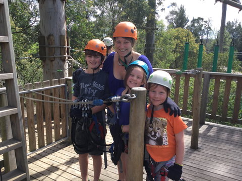 Trees Adventure - Glen Harrow Park - Tourism Noosa 1