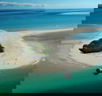 Turtle Discovery - Tourism Noosa