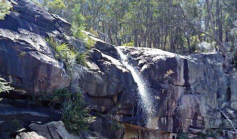 Ugly Corner Falls Walking Track - Tourism Noosa 0