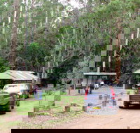 Wallingat Forest Drive - Tourism Noosa