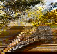 Windmill Walk - Tourism Noosa