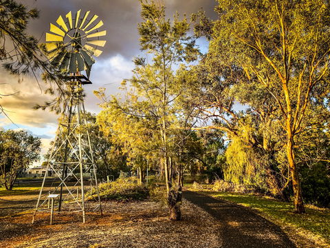 Windmill Walk - Tourism Noosa 1