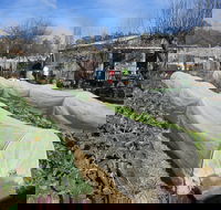 Wynlen House Tour a Unique Urban Regenerative Farm and Market Garden - Tourism Noosa