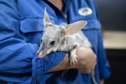 9 Day Outback Adventure - Tourism Noosa 0