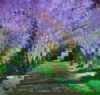 Alowyn Gardens and Nursery - Tourism Noosa