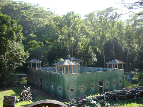 Alpha Paintball - Tourism Noosa 0