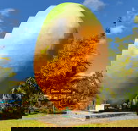 Big Mango - Tourism Noosa