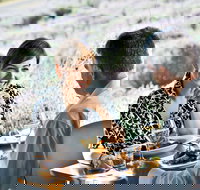 Boonah - Tourism Noosa