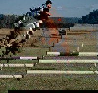 Camden Bicentennial Equestrian Park - Tourism Noosa