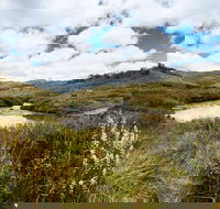 Cascade Hut trail - Tourism Noosa