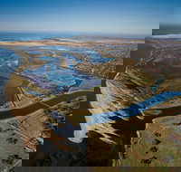 Cheetham Wetlands - Tourism Noosa