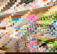 Colour My Pot - Tourism Noosa