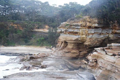 Cookies Beach Picnic Area - South Durras - Tourism Noosa 2