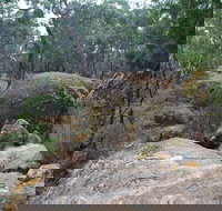 Dergholm State Park - Tourism Noosa
