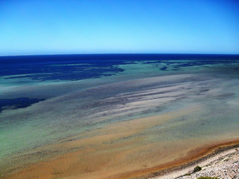Eagle Bluff - Tourism Noosa 2