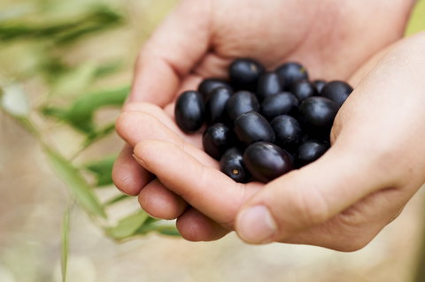 Eat, Pick, Grow Trail - Wanneroo And Chittering - Tourism Noosa 0