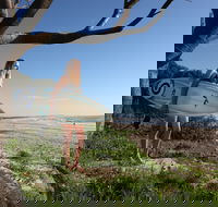 Evans Head Surf Shack - Tourism Noosa