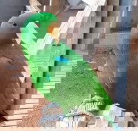 Eyre Reptile  Wildlife Park - Tourism Noosa