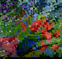 Ferry Artists Gallery - Tourism Noosa