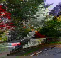 George Tindale Memorial Gardens - Tourism Noosa