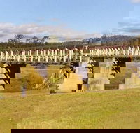 Historic Tabulam DeBurgh Timber Bridge - Tourism Noosa