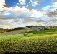 Hodgson Vale - Tourism Noosa