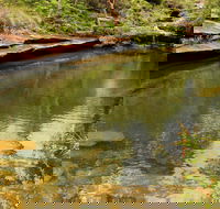 Hominy Creek Walking Track - Tourism Noosa