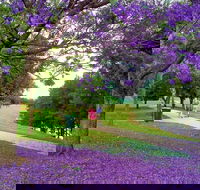 Howe Park - Tourism Noosa