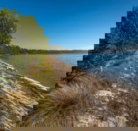 Jewfish Walk - Tourism Noosa