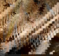 Jillabenan Cave - Tourism Noosa